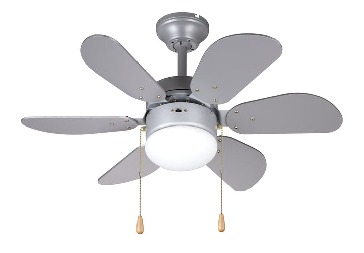 Ceiling Fan