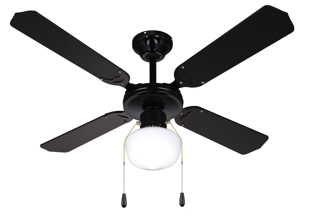 Ceiling Fan