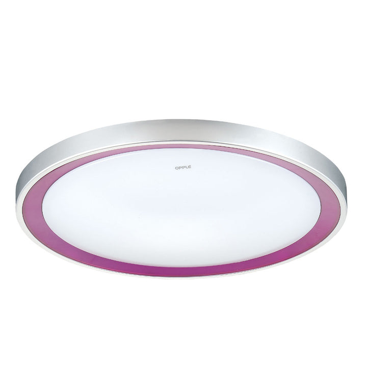 Opal ceiling mounted lamp 28W+38W T5