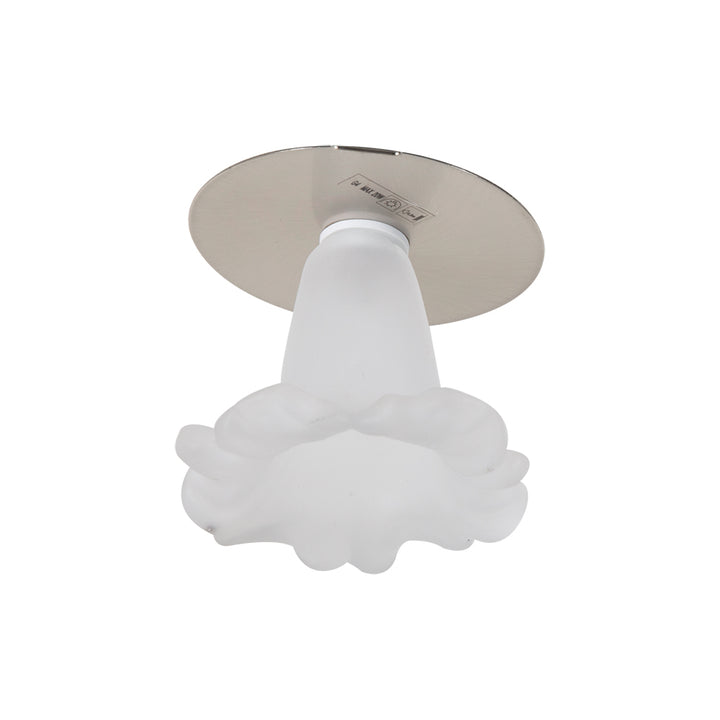 DOWNLIGHT