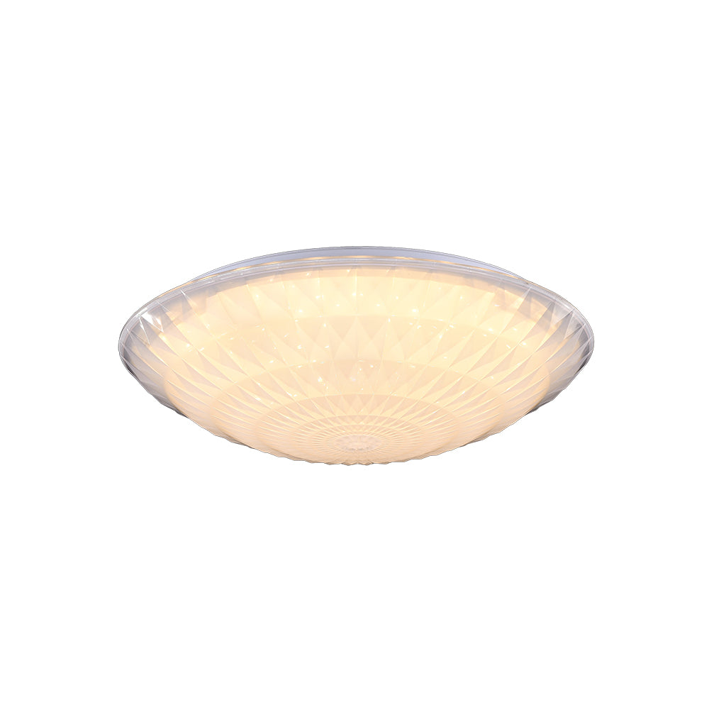 Ceiling mounted lamp 24W