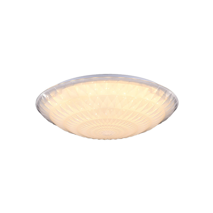 Ceiling mounted lamp 24W