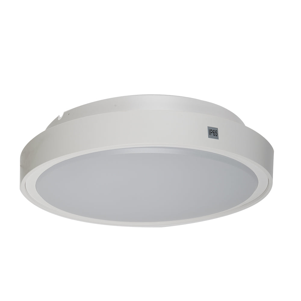 Ceiling mounted lamp