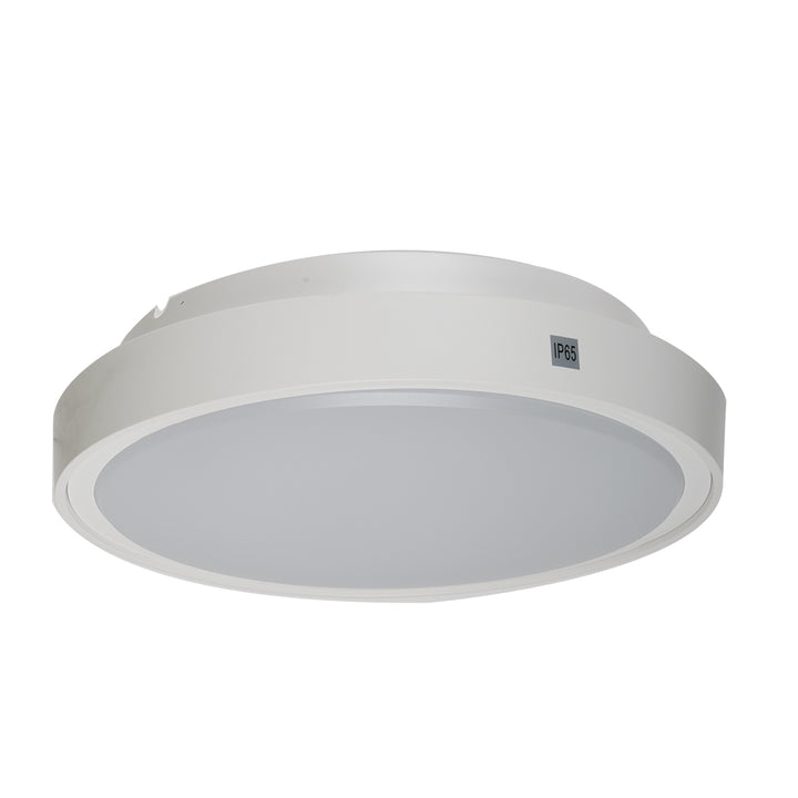 Ceiling mounted lamp