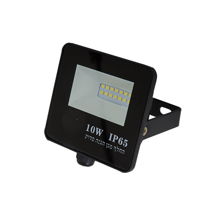 Flood light 10W