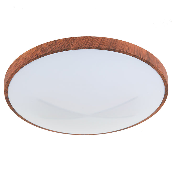 Opal ceiling mounted lamp 22W