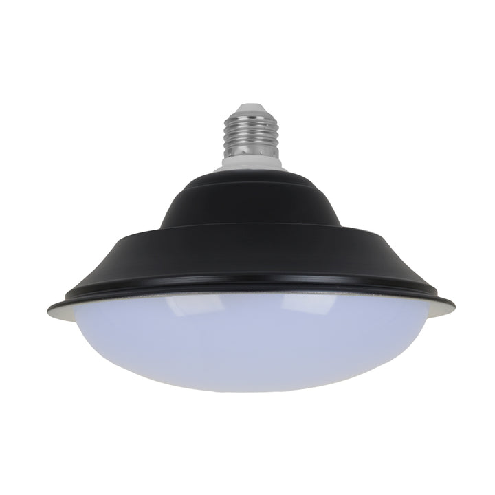decorative light bulb 30W 6500K  black