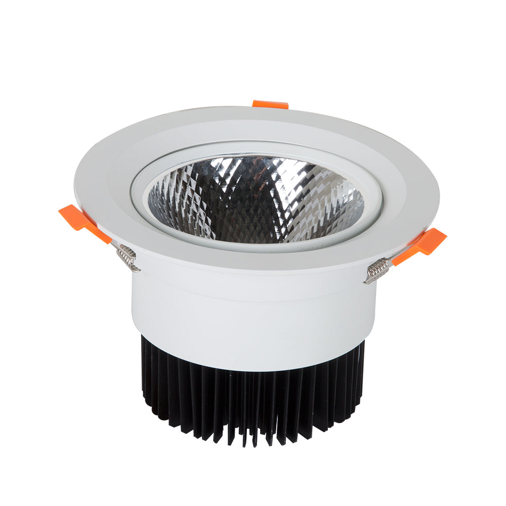 DOWNLIGHT