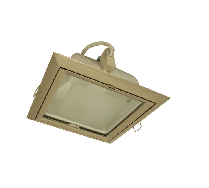 DOWNLIGHT