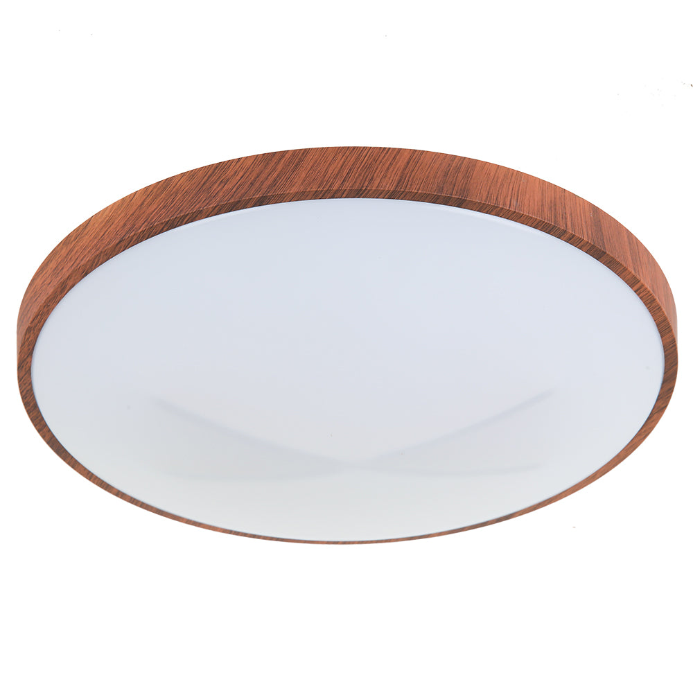 Opal ceiling mounted lamp 22W